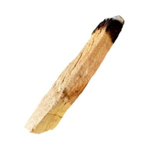 PALO SANTO