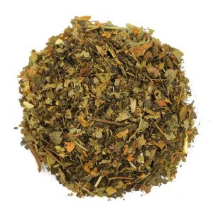 Hamamelis
