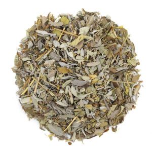 Salvia