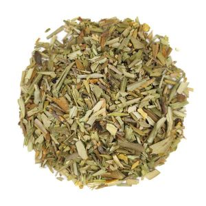 Hojas de olivo