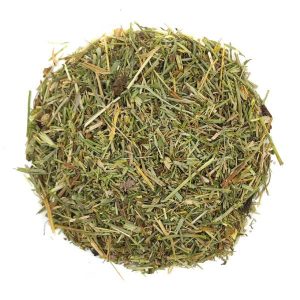 Cola de caballo