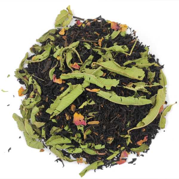 Té negro noches de Cid