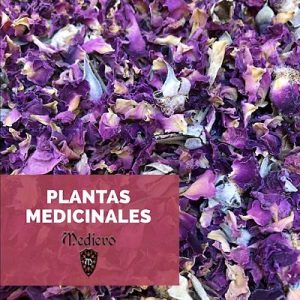 Plantas medicinales