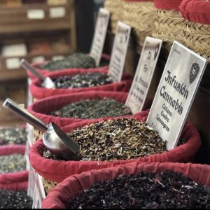Tés e infusiones