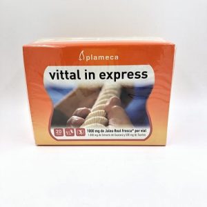 Vittal In express