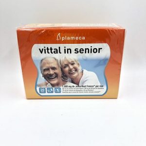 Vittal In Senior