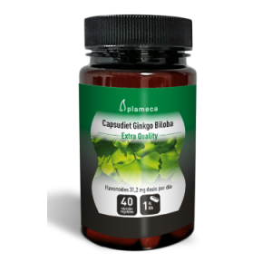 Ginkgo Biloba Capsudiet