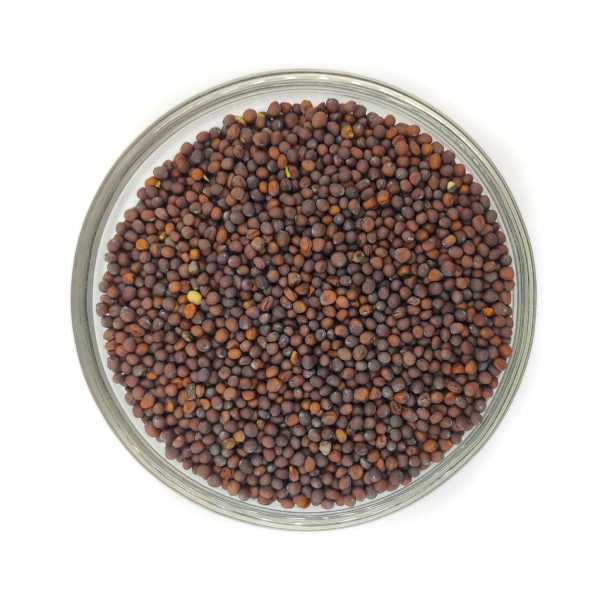 Mostaza marrón en grano