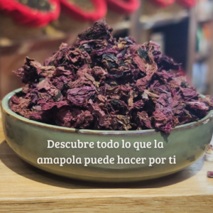 Amapola