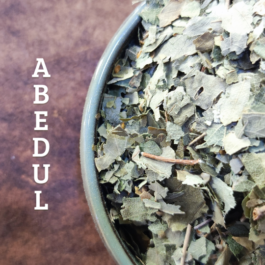 planta medicinal abedul