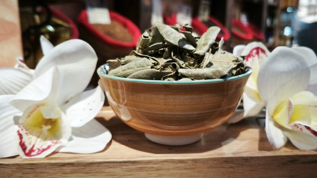 Infusión de Boldo
