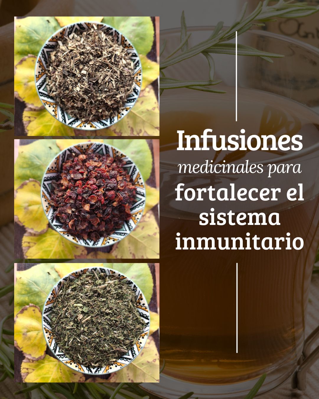 plantas sistema inmunitario